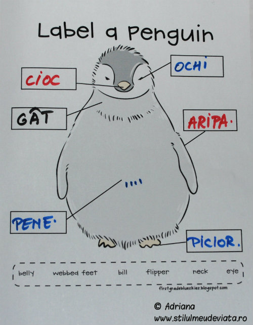 etichetare pinguin