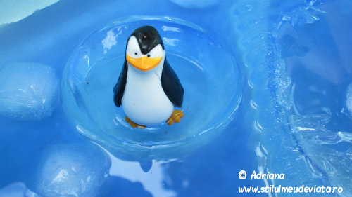pinguinul, activitate senzoriala cu apa