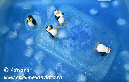 pinguinul, activitate senzoriala cu apa