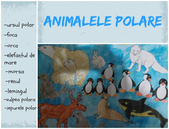 animalele polare