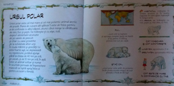 informatii despre ursul polar