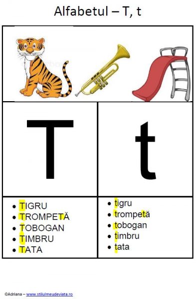 litera T - alfabetul ilustrat