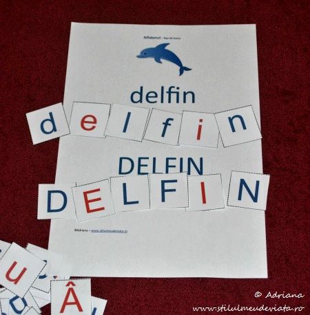 delfin, litera D