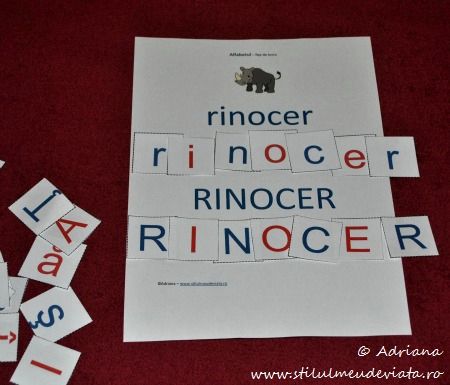 litera R, rinocer