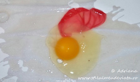 ou fara coaja, experiment pentru copii
