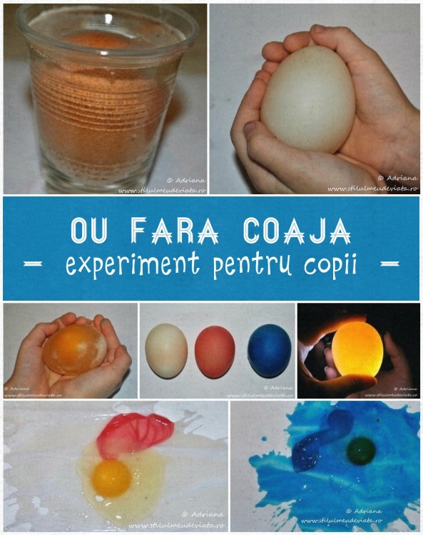 ou fără coajă, experiment pentru copii