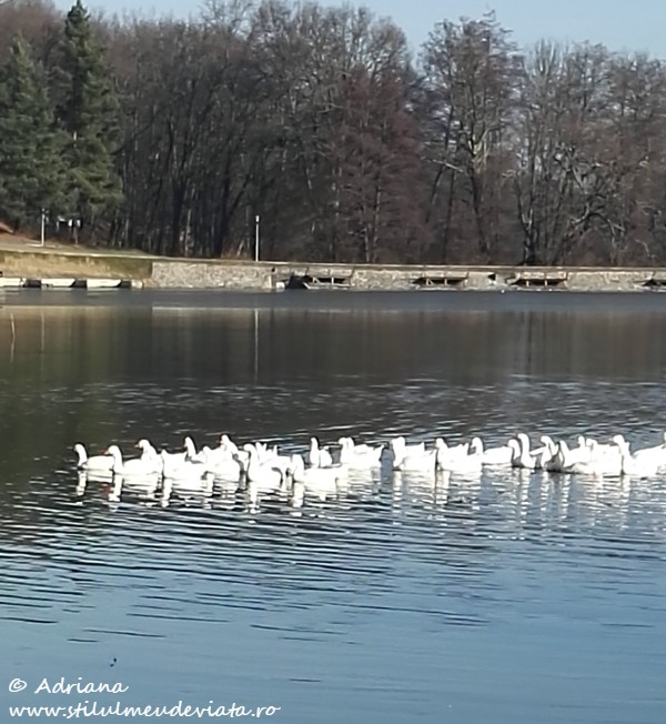 Lacul, Muzeul Astra din Sibiu